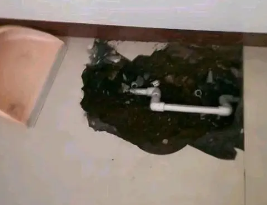 黎川卫生间测漏水多少钱